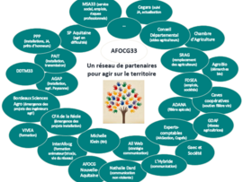 Réseau partenaires