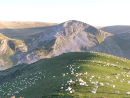GAEC d'éleveurs du Pays Basque